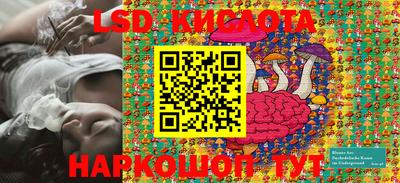 ПСИЛОЦИБИНОВЫЕ ГРИБЫ Новозыбков