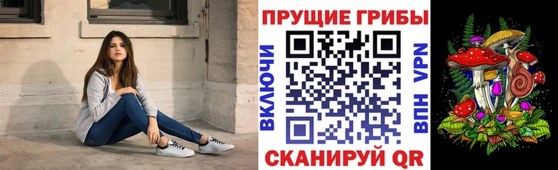 Псилоцибиновые грибы Psilocybe  Уфа 