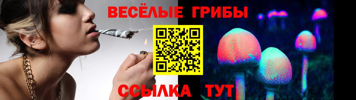 Псилоцибиновые грибы Psilocybine cubensis  Вход с VPN  Уфа 